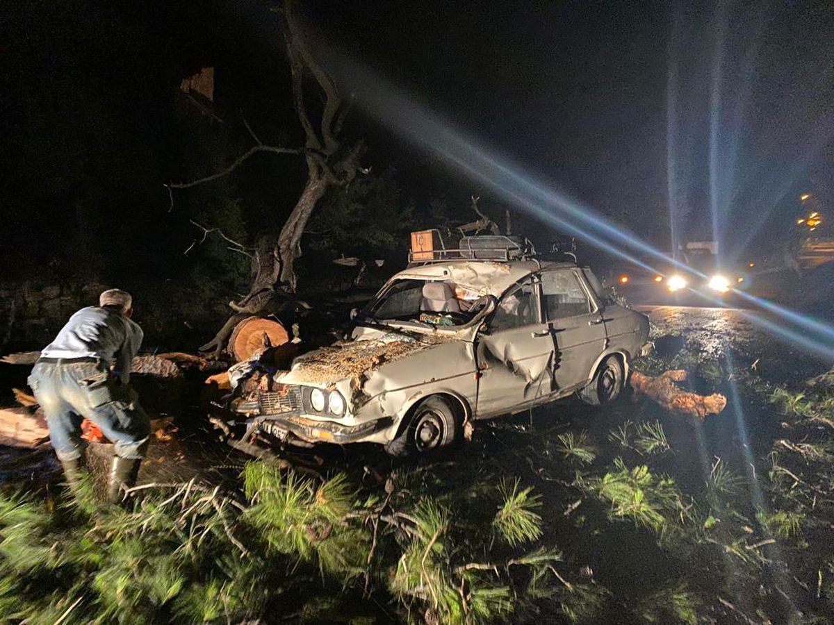 Seyir halindeki otomobilin üzerine ağaç devrildi: 2 yaralı