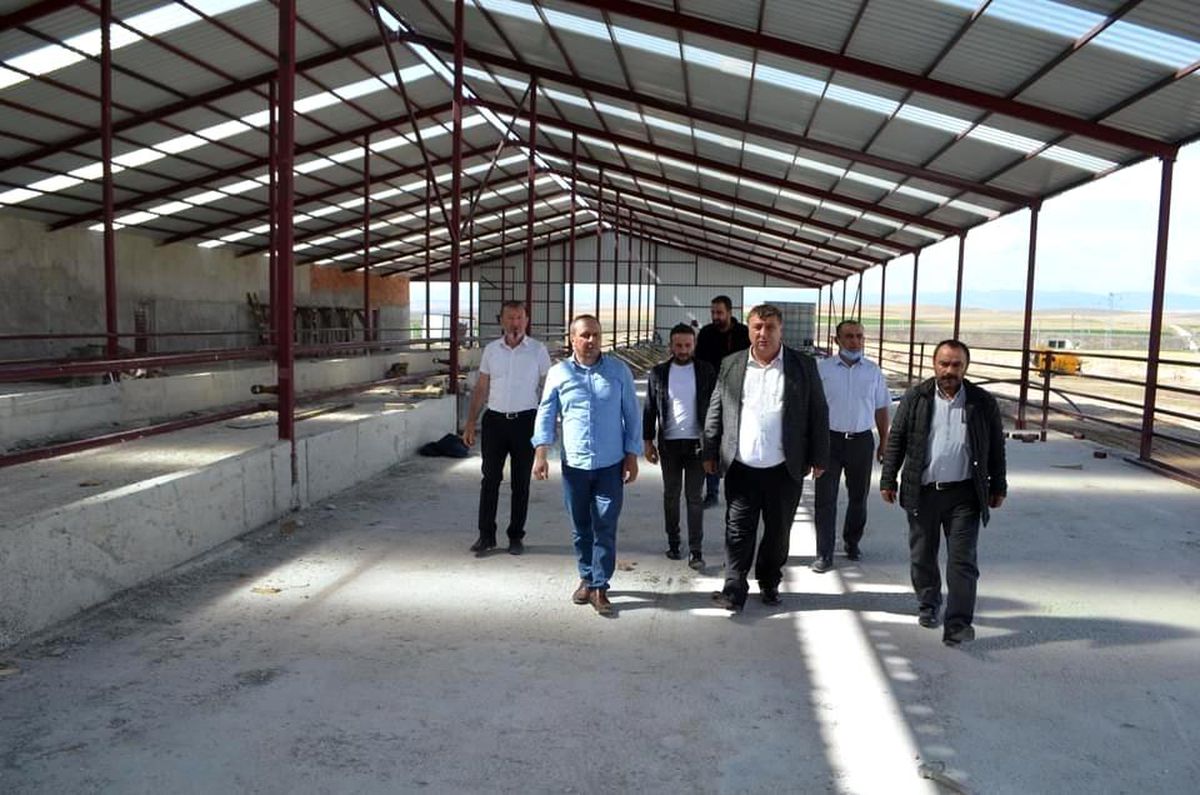 Beylikova\'ya 200 baş hayvanlı işletme kurulacak