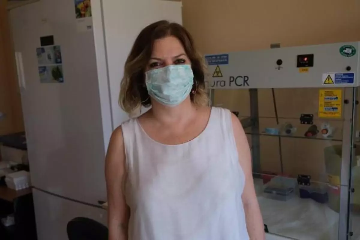 CBÜ\'DEN \'SİNOVAC\' ARAŞTIRMASI; ANTİKORDA 3 AY SONRA DÜŞÜŞ