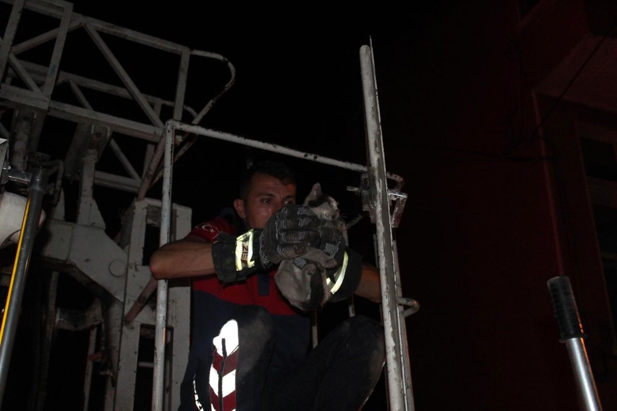 Isparta\'da kedi operasyonu