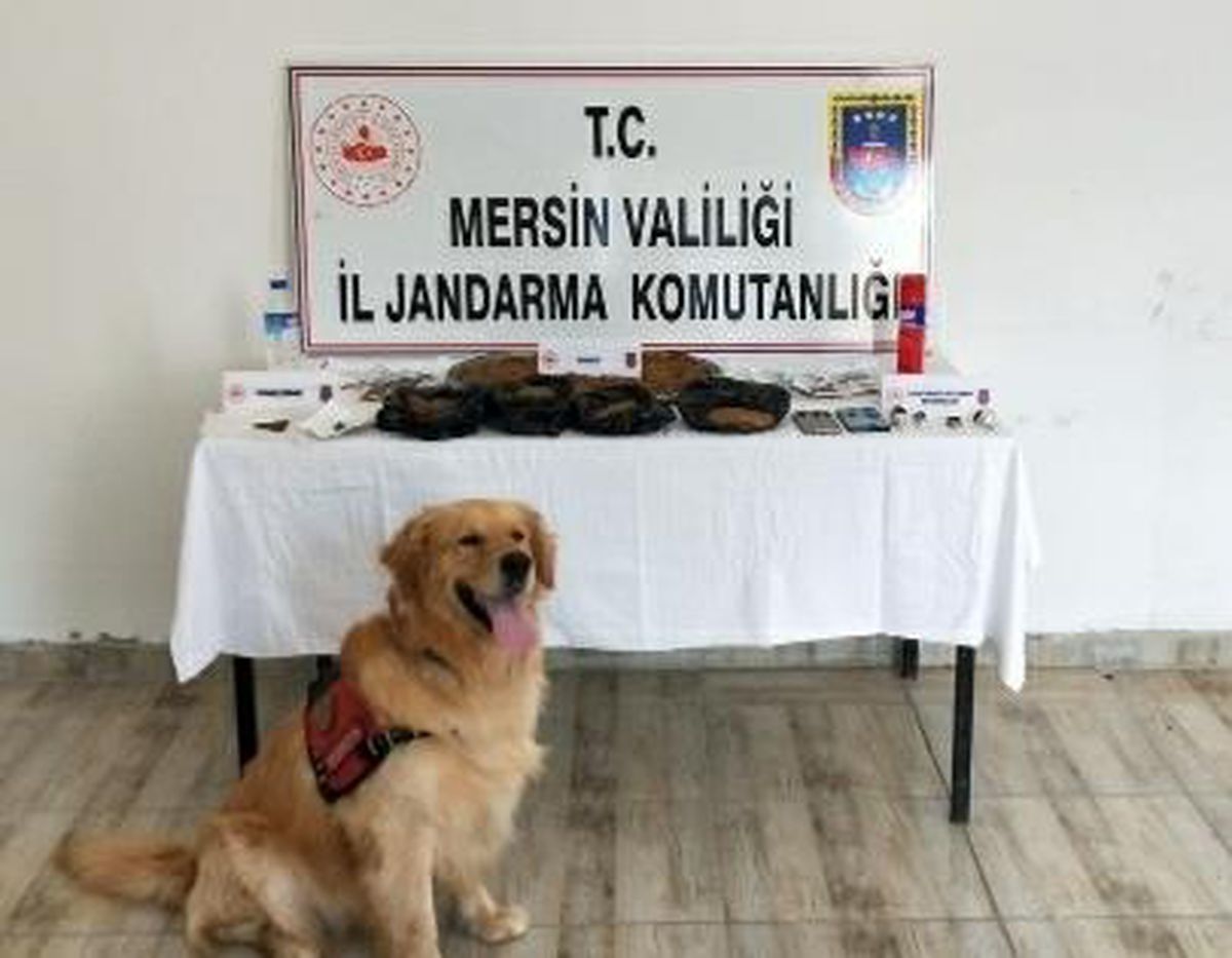Mersin\'de 1 kilo 620 gram sentetik uyuşturucu ele geçirildi