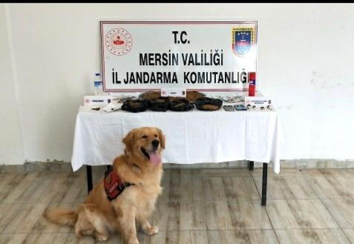 Mersin\'de uyuşturucu operasyonu