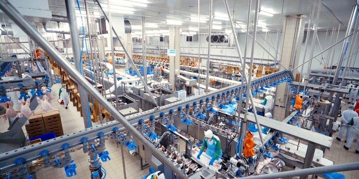 Son dakika haber: Piliçte 1.35 milyar TL\'lik yatırım