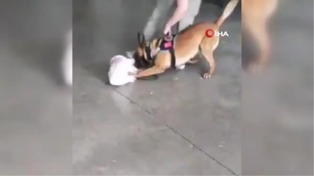 Uyuşturucuyu oyuncak bebeğe gizlediler