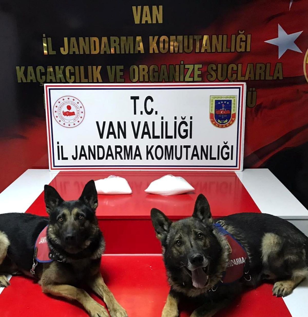Van\'da 2 kilo metamfetamin ele geçirildi