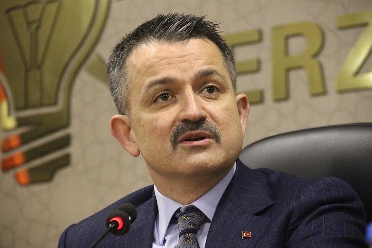 Son dakika: Bakan Pakdemirli: "Antalya\'da aynı anda çıkan iki yangını da kontrol altına aldık"
