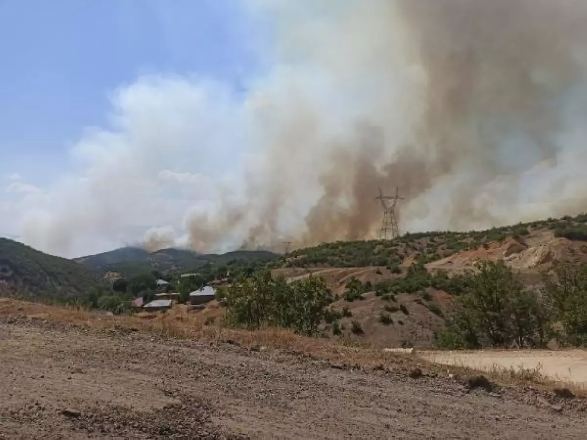 Bingöl\'de 14 gün sonra aynı yerde orman yangını (2)