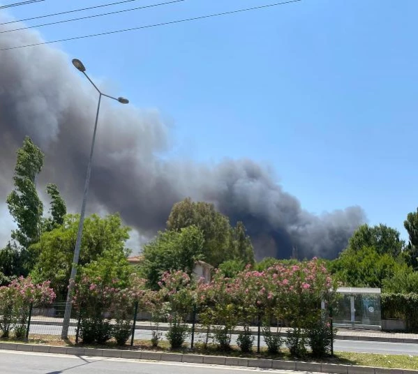 Dalaman'da kağıt fabrikasında yangın (1)