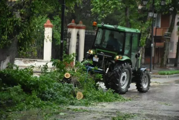 Edirne'de şiddetli fırtına ağaçları devirdi