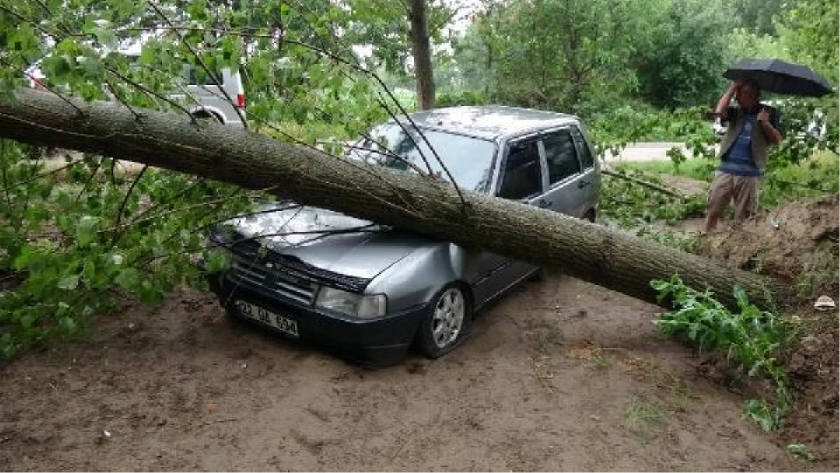 Edirne\'de şiddetli fırtına ağaçları devirdi
