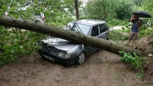 Edirne'de şiddetli fırtına ağaçları devirdi