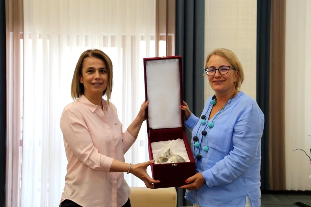 Türkiye\'nin Tiflis Büyükelçisi Yazgan, Vali Becel\'i ziyaret etti