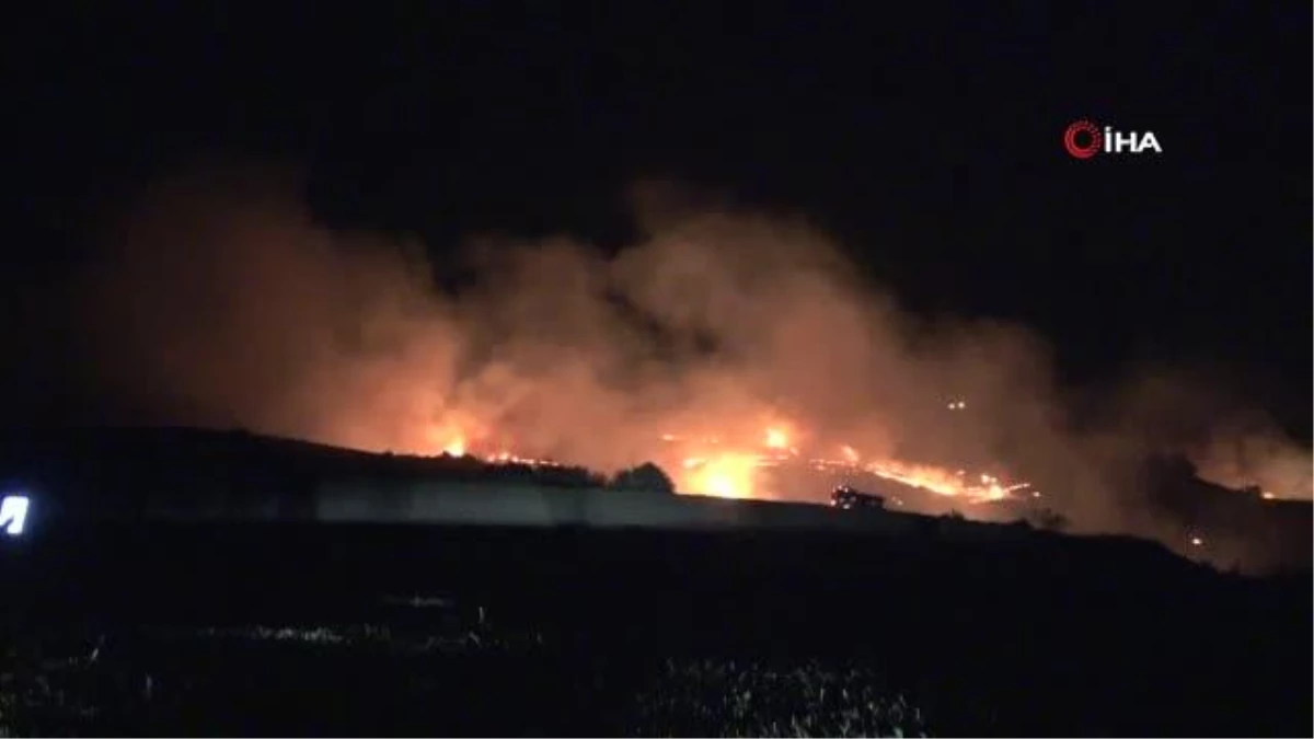 Adana\'da ağaçlık alana sıçrayan anız yangını kontrol altına alındı