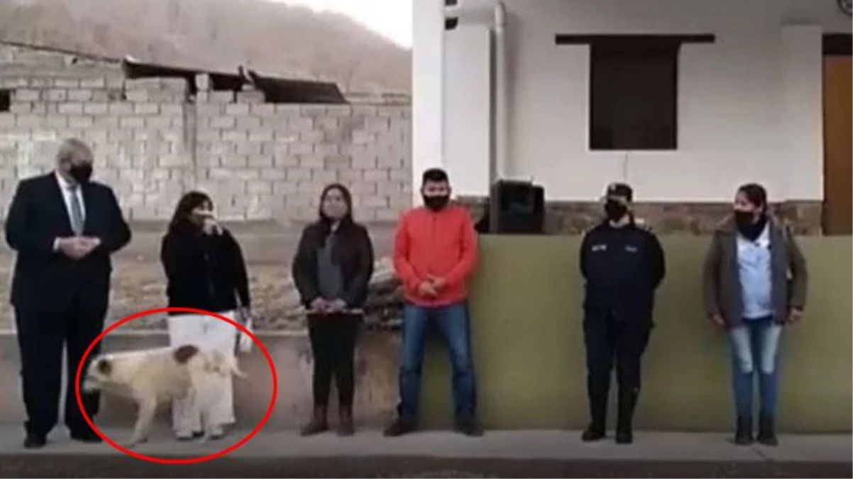 Arjantin\'de köpek, konuşma yapan belediye başkanının üzerine idrarını yaptı