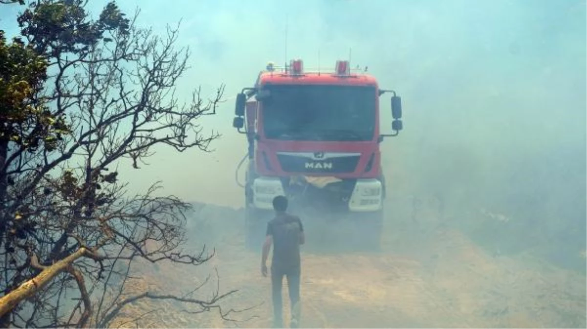 Bingöl\'deki orman yangını 3 gündür devam ediyor