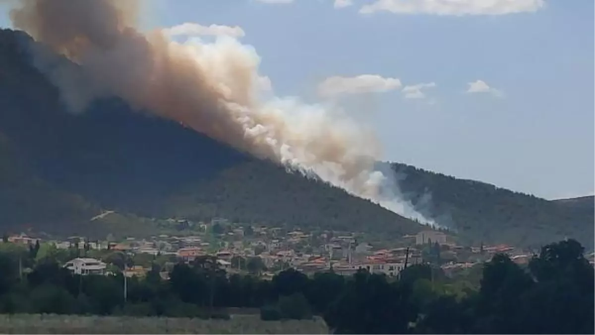 Merkezefendi ilçesinde çıkan orman yangınına müdahale ediliyor (3)