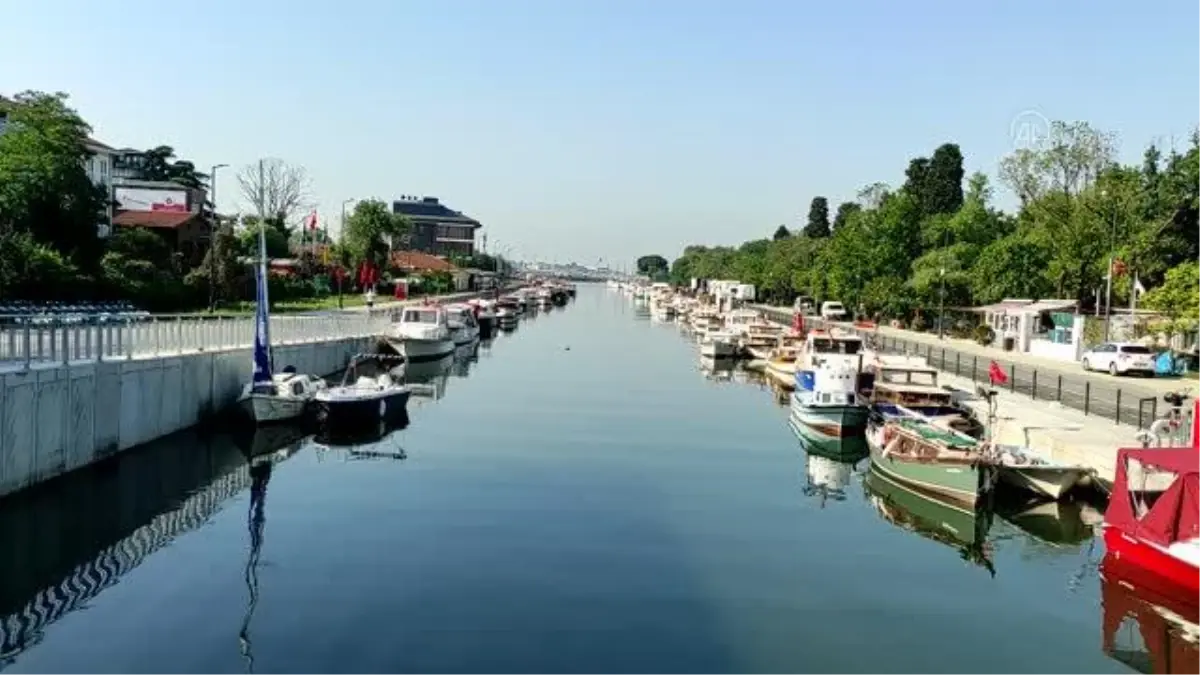 İstanbul\'un bazı sahillerinde müsilaj yoğunluğu azaldı