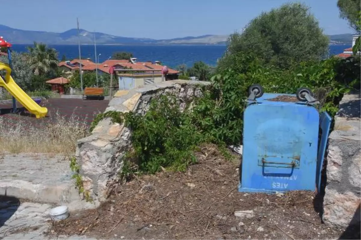 İzmir\'de başı kesik köpeklerle ilgili 2 kişiye gözaltı