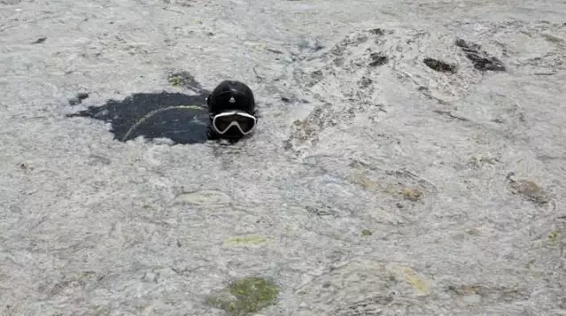 Müsilaj, Marmara'nın ardından Yunanistan'a sıçradı! Turistik Limni Adası adeta görünmez oldu Müsilaj, Marmara'nın ardından Yunanistan'a sıçradı! Turistik Limni Adası adeta görünmez oldu