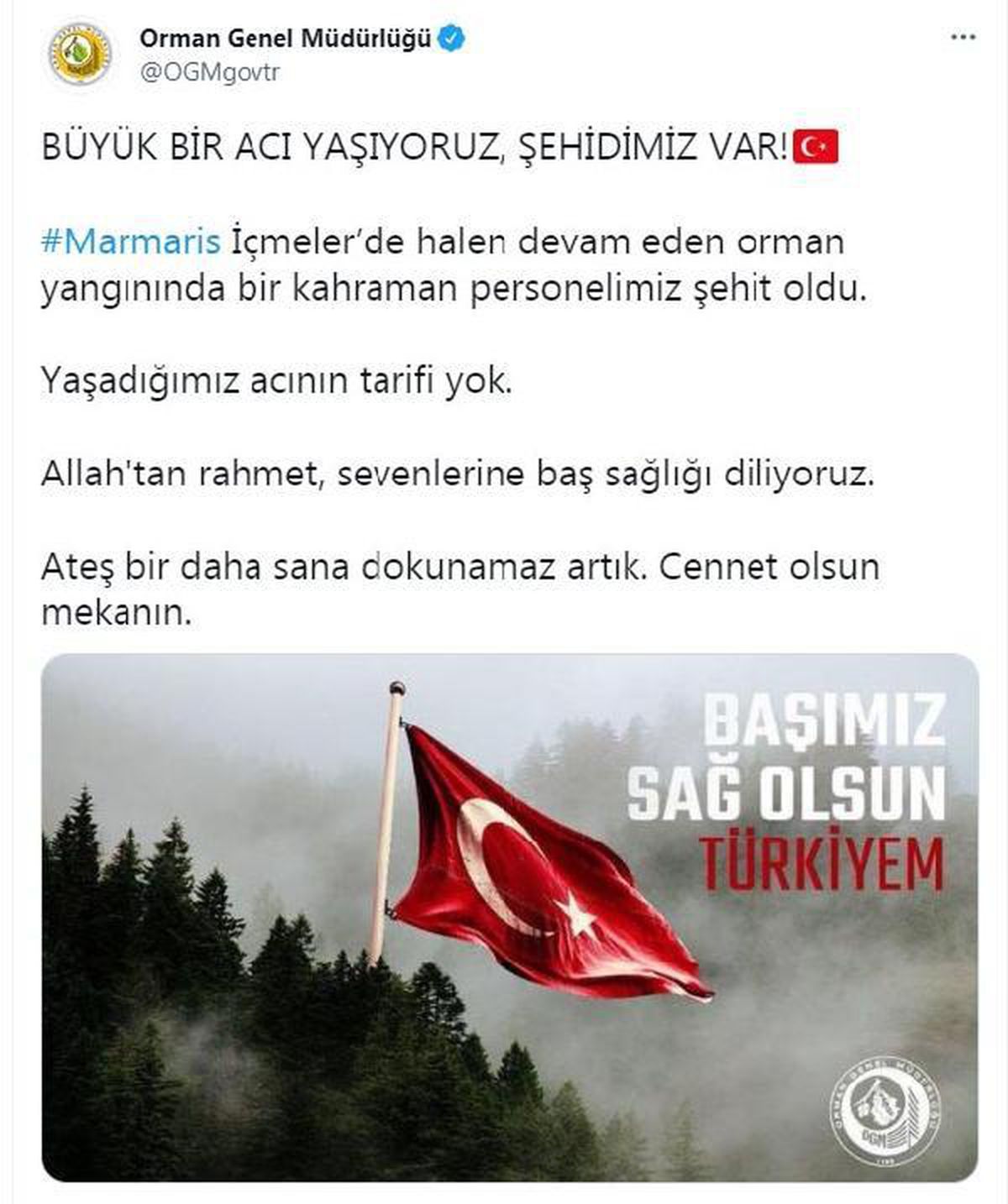 Son dakika gündem: Marmaris\'te orman yangını; plajdakiler korkuyla izledi (2)