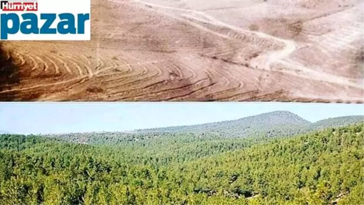 Mucize değil, Alın teri!