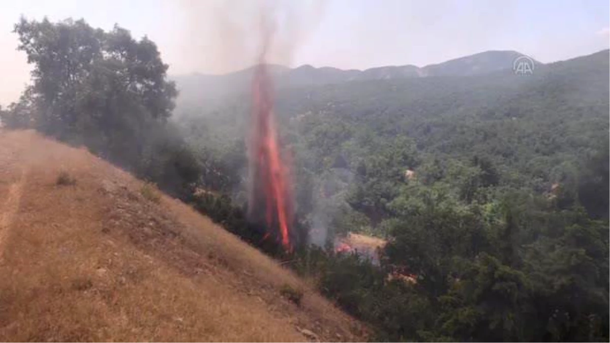 Son dakika haberleri: Ormanlık alanda çıkan yangına müdahale sürüyor