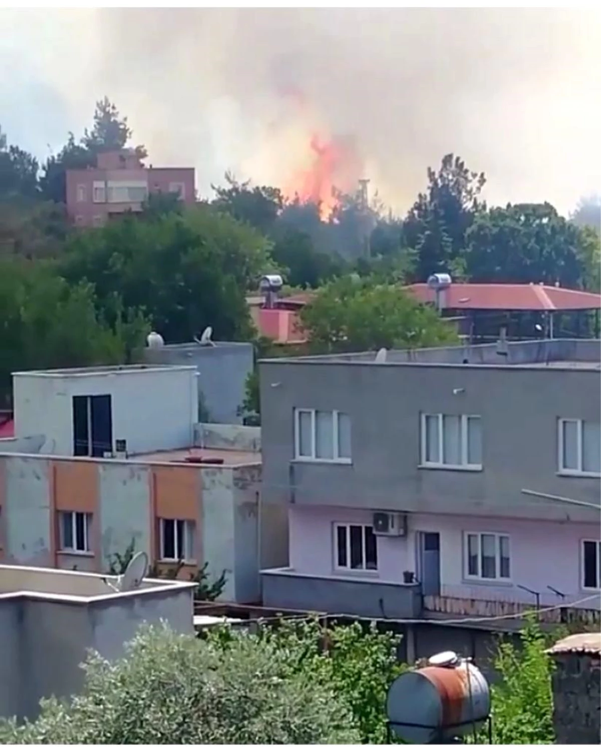 Son dakika haber: Osmaniye\'de orman yangını