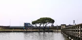 Başkan Akgün'den rengi değişen Büyükçekmece Gölü hakkında açıklama