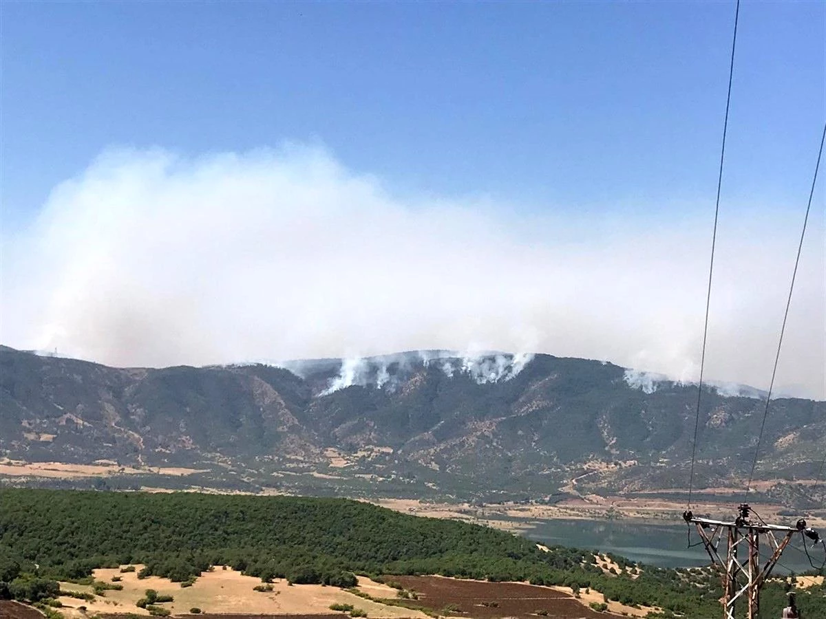 Bingöl Valiliği: "Yaklaşık 2 bin-2 bin 500 hektar alanın yangından etkilendiği değerlendirilmektedir"