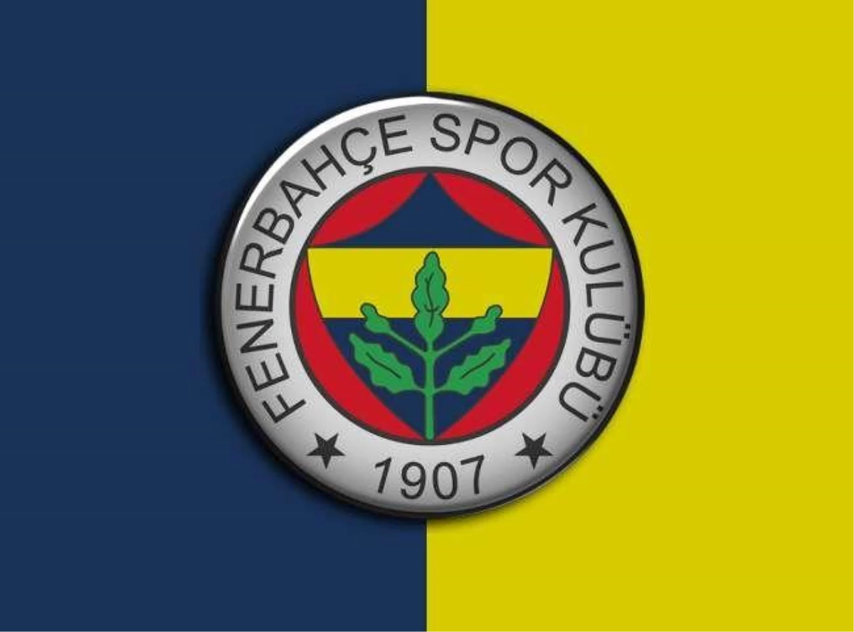 Fenerbahçe\'den teknik direktör açıklaması