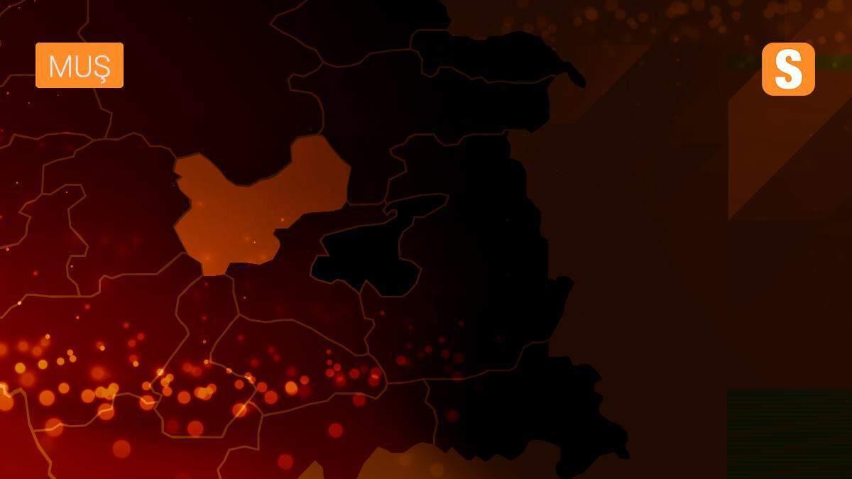 Kaymakam ve Belediye Başkanvekili İlidi, yol çalışmalarını inceledi