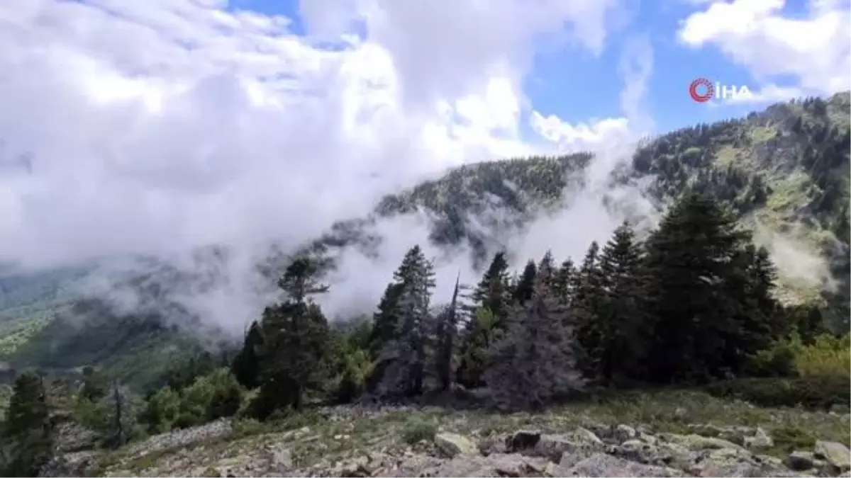 Marmara Denizi\'ne zehir akıtan o derenin kaynağı tertemiz
