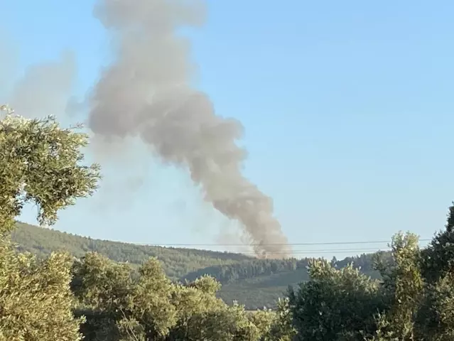 Muğla'da orman yangını başladı