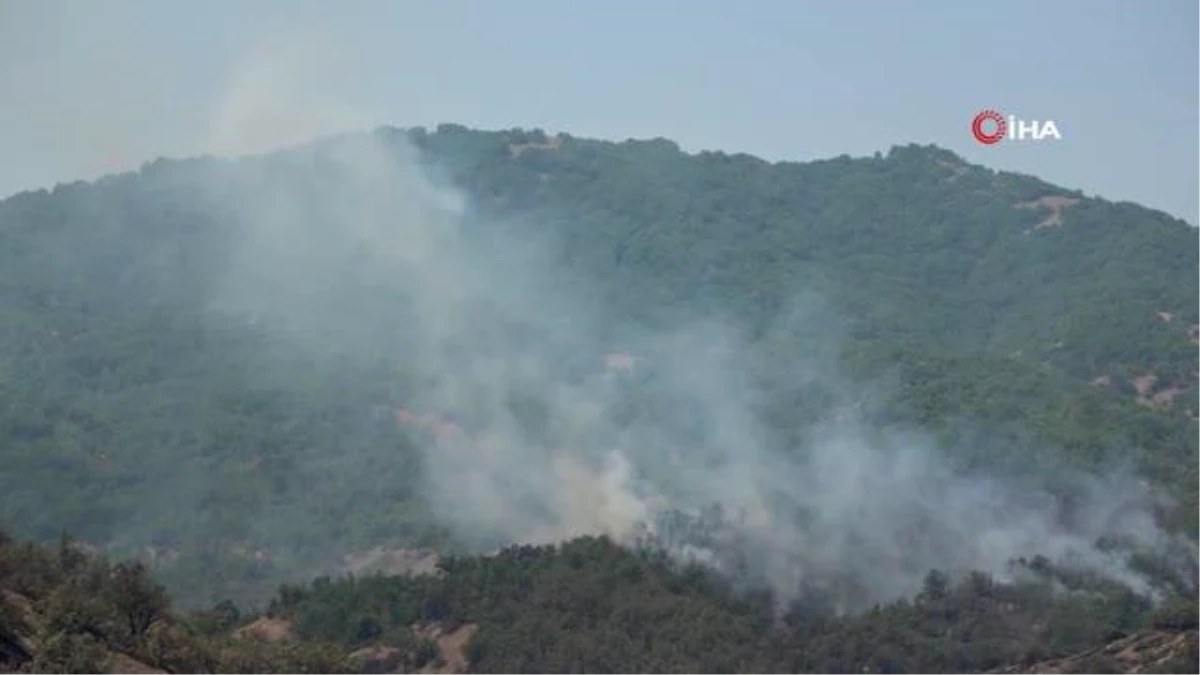 Orman yangınına havadan ve karadan müdahale sürüyor, yüzde 70 oranında kontrol altına alındı