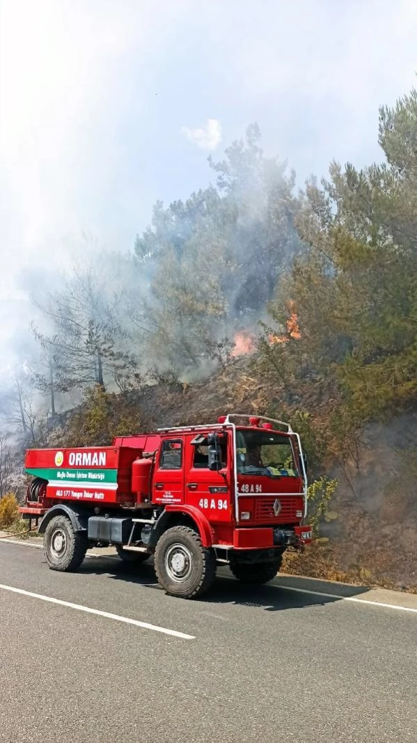 Ula'da orman yangını; 2 ev tahliye edildi