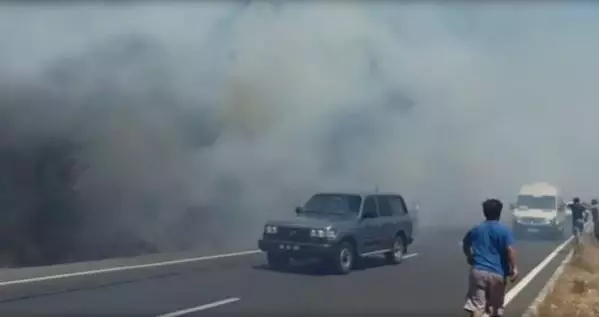 Ula'da orman yangını; 2 ev tahliye edildi