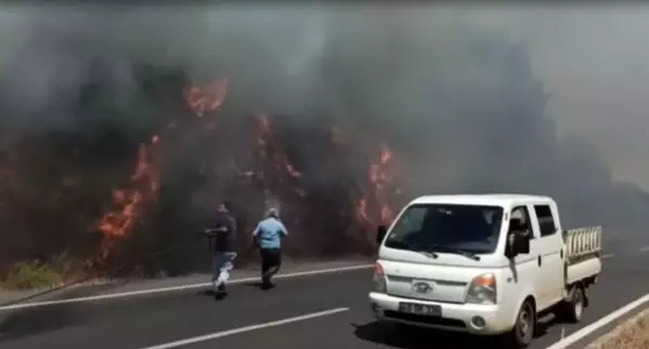 Ula'da orman yangını; 2 ev tahliye edildi