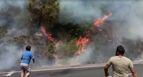 Ula'da orman yangını; 2 ev tahliye edildi