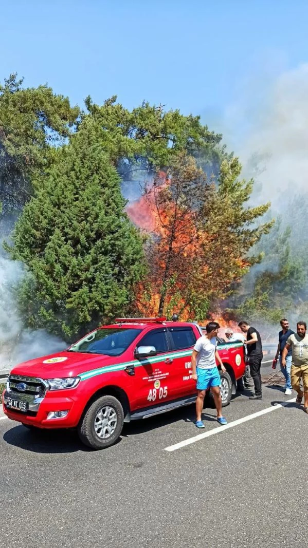 Ula'da orman yangını; 2 ev tahliye edildi