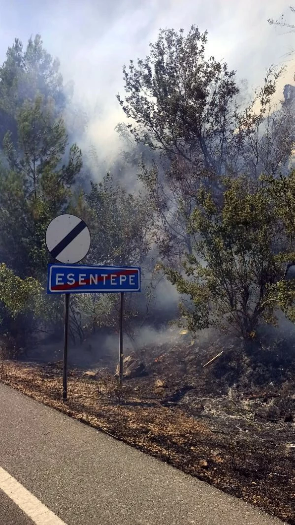 Ula'da orman yangını; 2 ev tahliye edildi