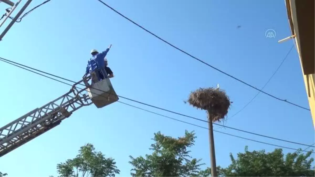 "Yaren" leyleğin "Beşnumara"sına uydu vericisi takıldı