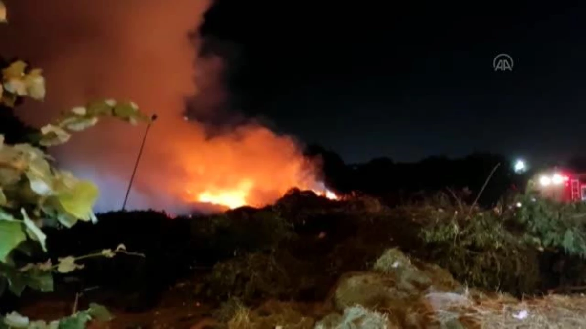 Bakırköy\'de ağaçlık alanda çıkan yangın söndürüldü