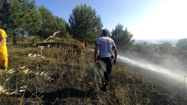 Son dakika haber | Bursa'da orman yangını