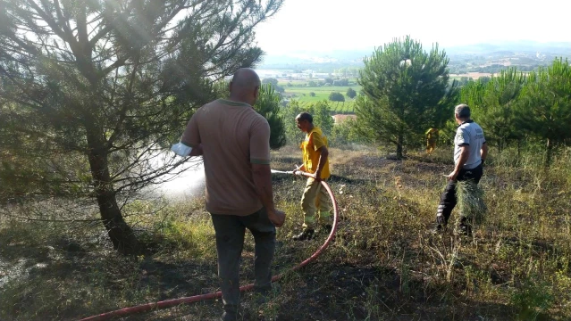 Son dakika haber | Bursa'da orman yangını