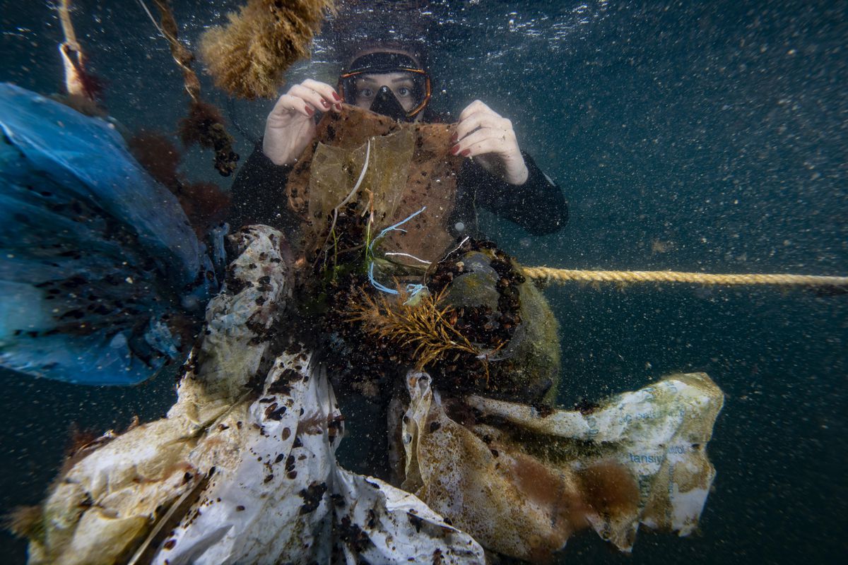 Son dakika haberi! Denizlerin plastik savaşçıları