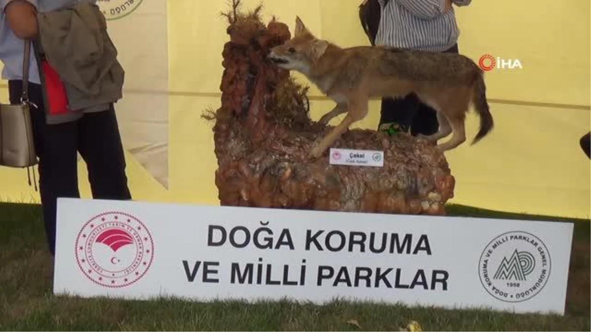 FAO Yöresel Çalıştayı\'nda ünlü şefler yeteneklerini sergiledi