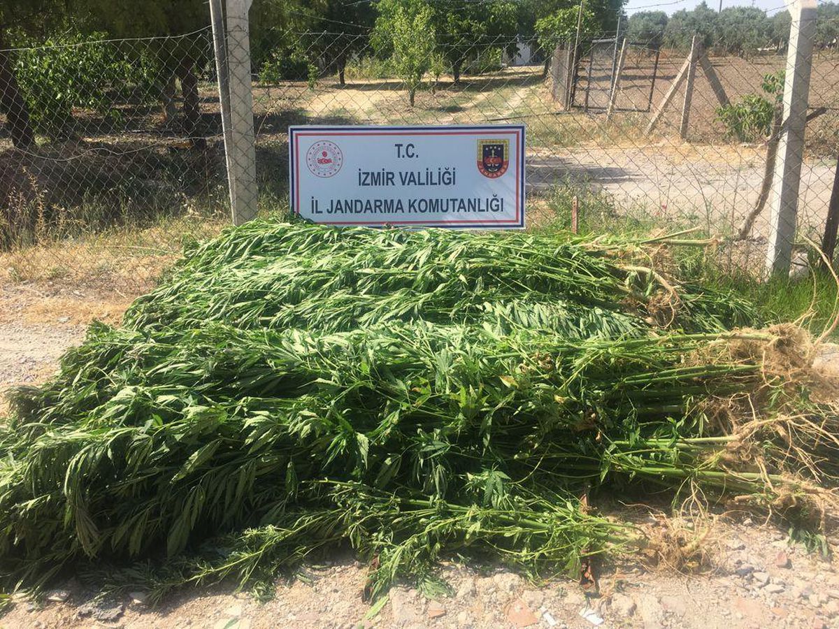 İzmir\'de düzenlenen uyuşturucu operasyonlarında 7 şüpheli yakalandı