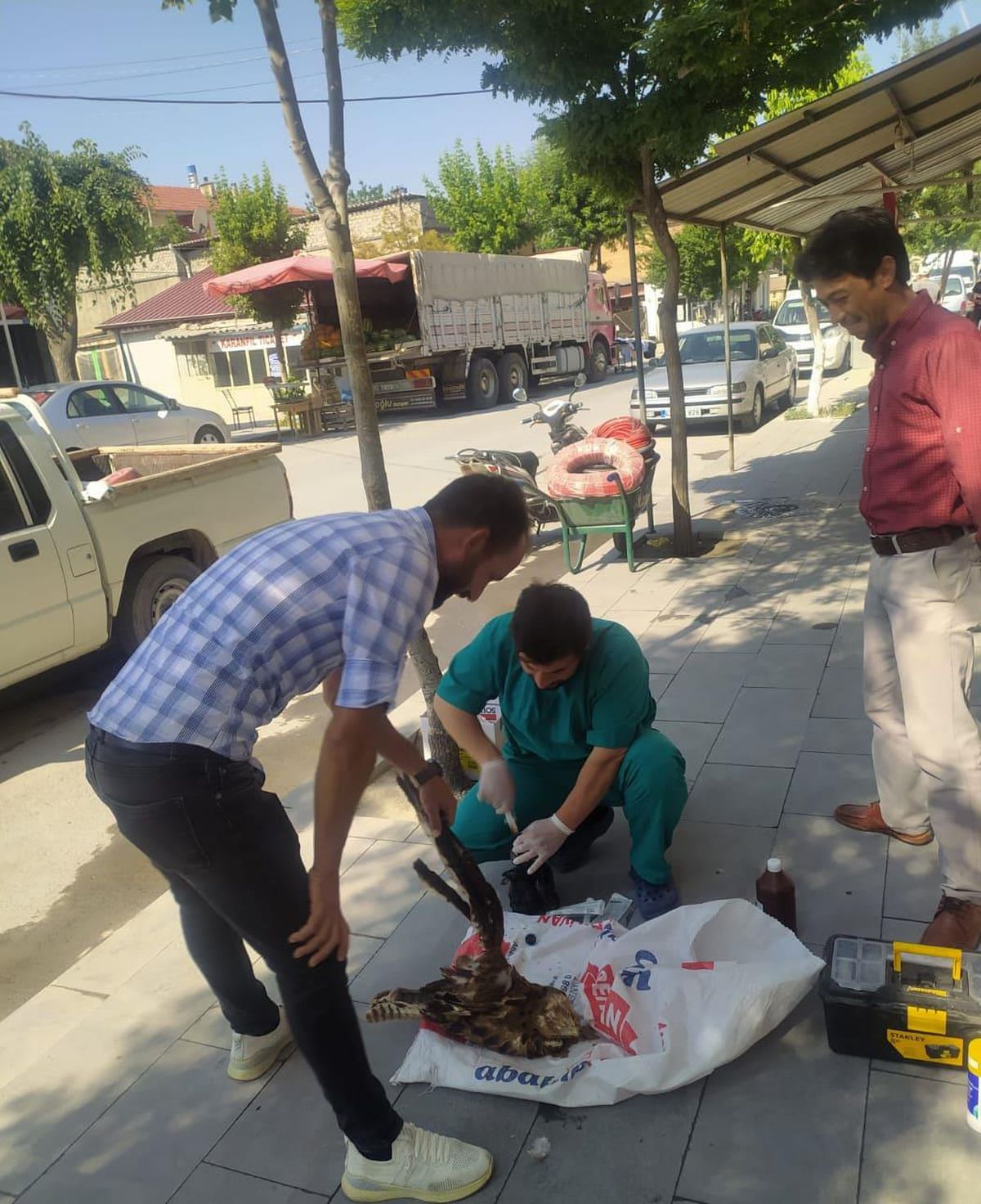 Karapınar\'da yaralı bulunan şahin tedavi altına alındı
