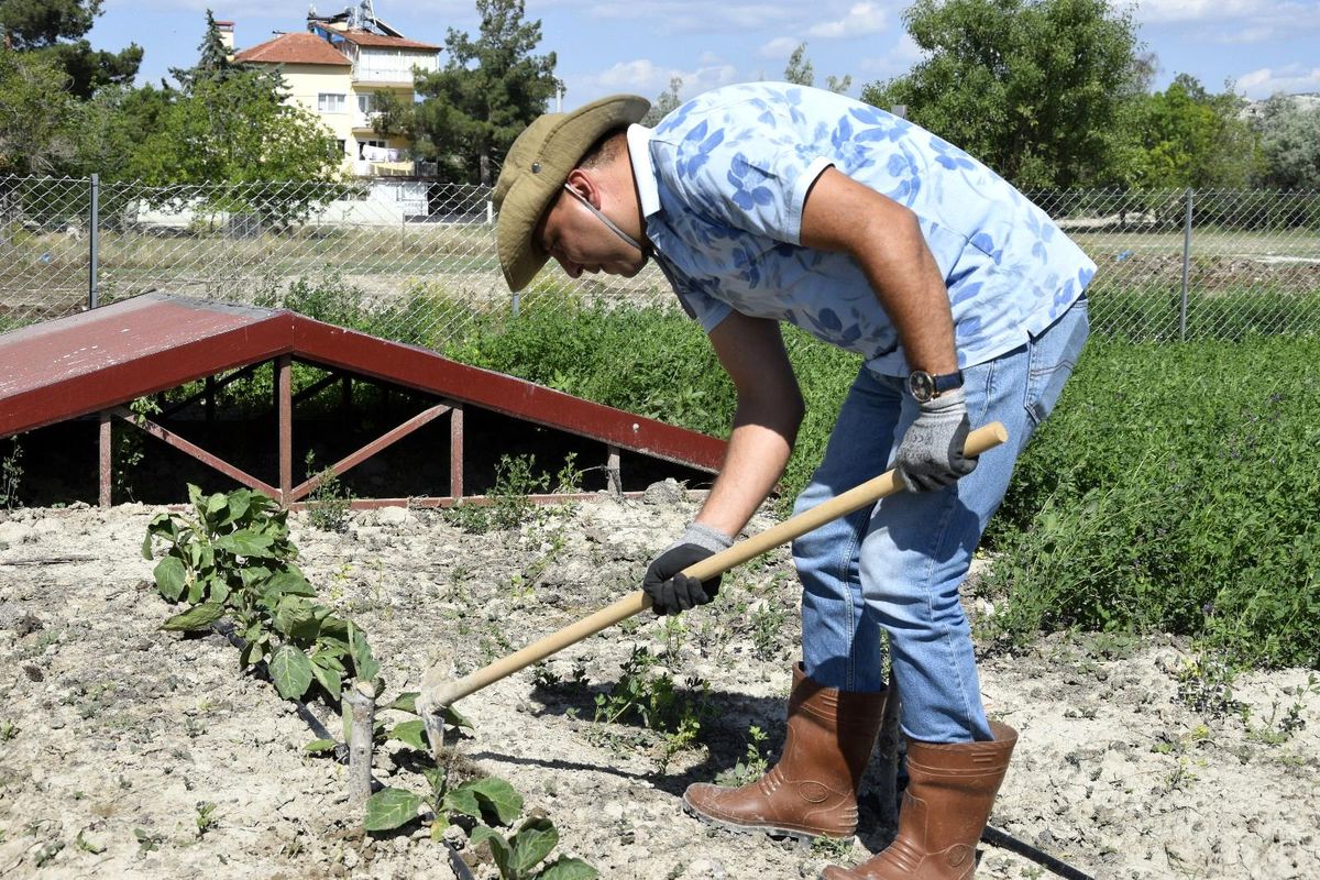 Lüks hayatını bıraktı, huzuru bağ evinde buldu
