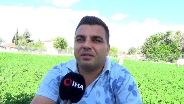 Lüks hayatını bıraktı, huzuru bağ evinde buldu Lüks hayatını bıraktı, huzuru bağ evinde buldu